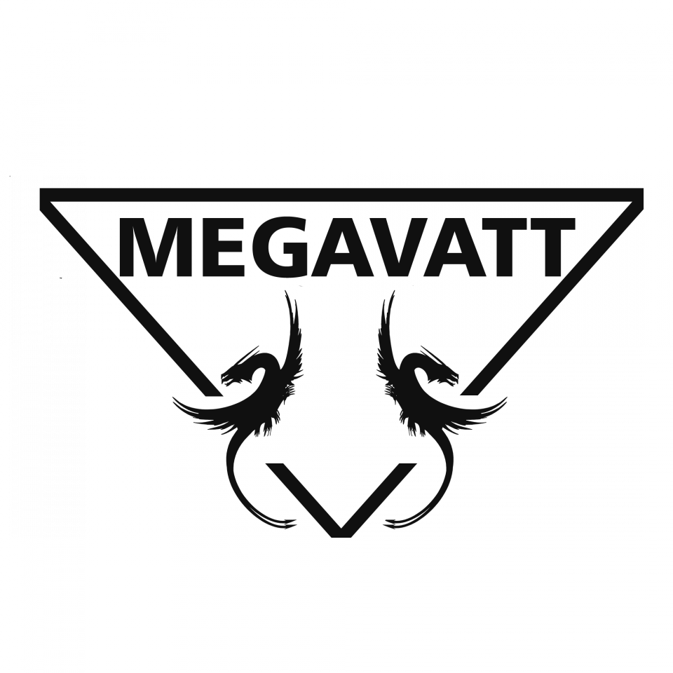 MegaVatt, Компания